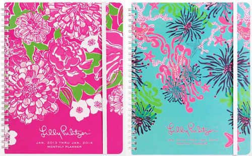 2013-stylish-daily-planners