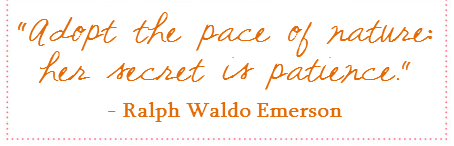 adopt the pace of nature quote emerson