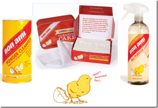 bon ami cleaning kit giveaway