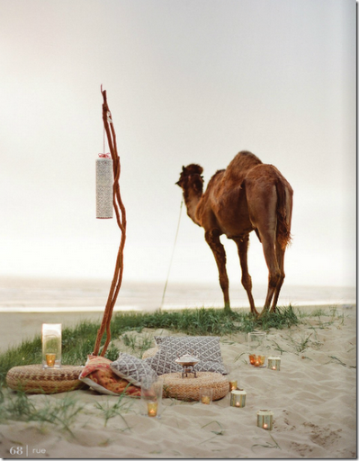 camel on beach rue magazine