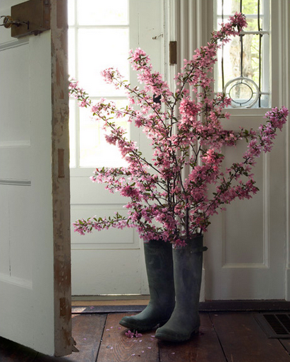cherry_blossoms_rain_boots