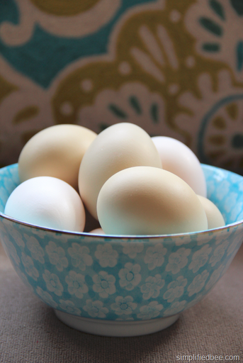 easter_egg_chickens_blue