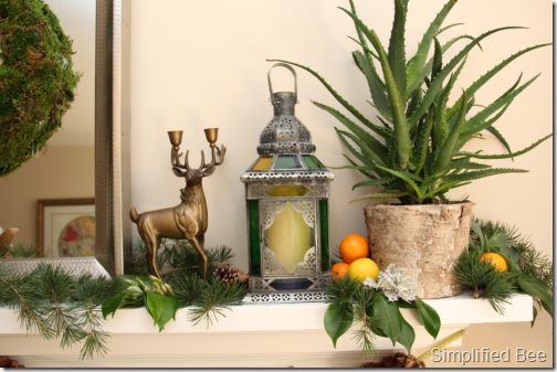 exotic_christmas_mantle_decor