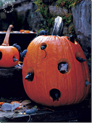 halloween pumpkin with rats martha stewart