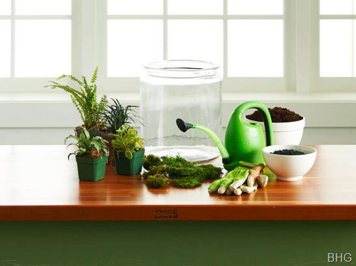 how to make a terrarium bhg