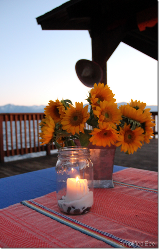 lake tahoe fiesta dock party