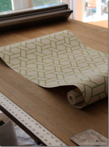 manuel_canovas-trellis-wallpaper-vert