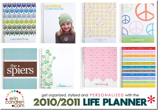 planner 2010 Erin Condren