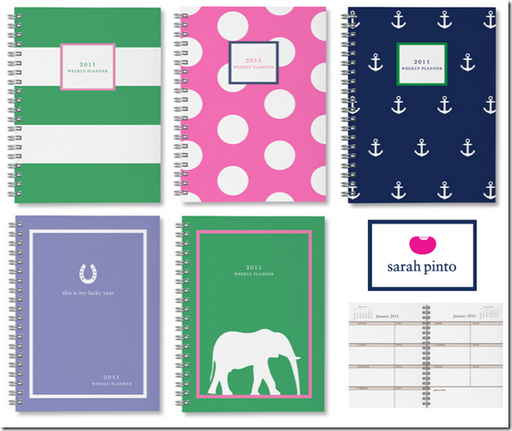 planner 2010 Pinto2