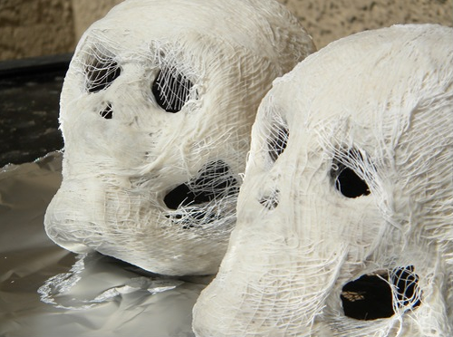 Halloween Skulls with Spider Web