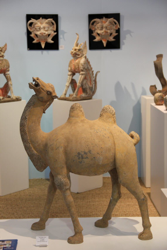 Tang Dynasy Camel