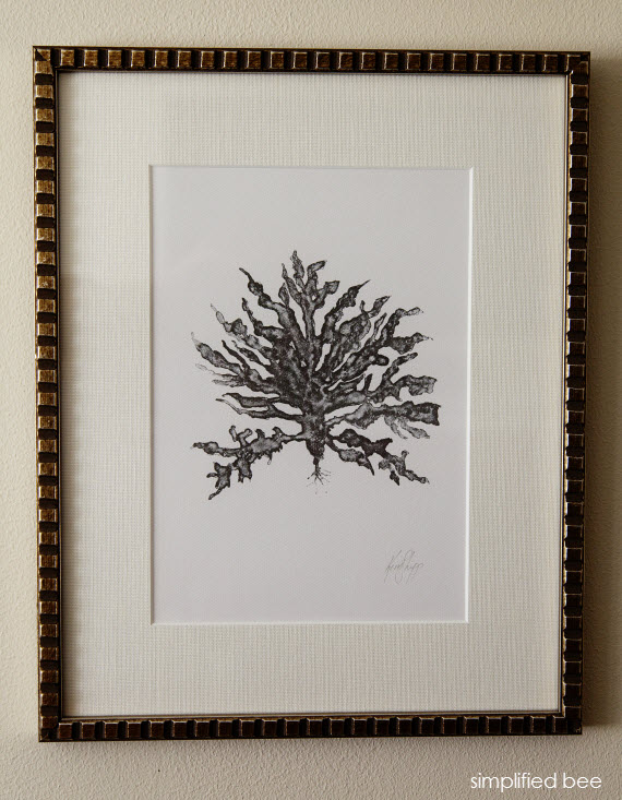 gray coral botanical art - simplified bee