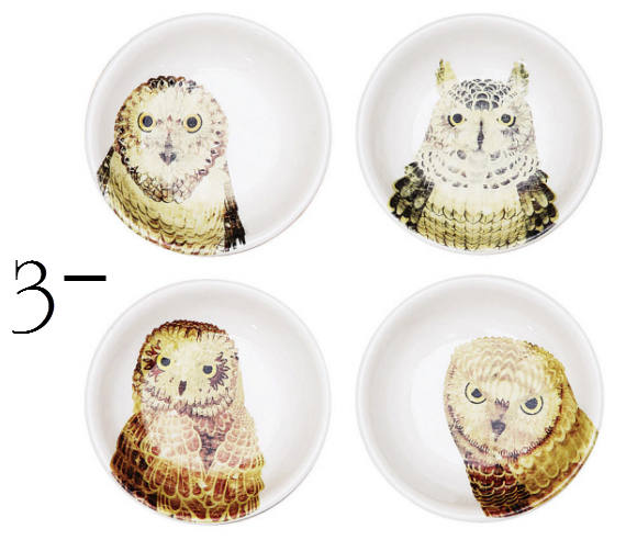 hostess gifts owl dishes