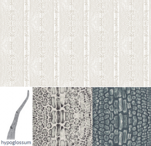 marine biology inspired fabrics