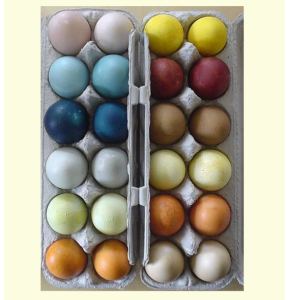 natural dyed easter eggs