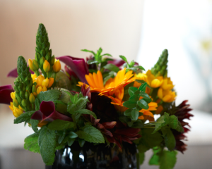 purple and orange flower arrangement