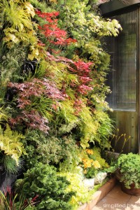 live plant wall with Japanese maples // San Francisco Decorator Showcase