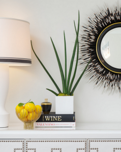 porcupine quill mirror