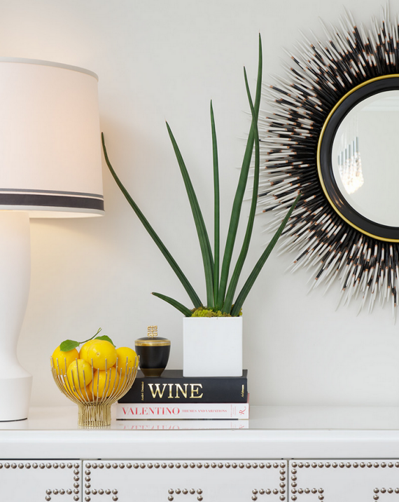 porcupine quill mirror