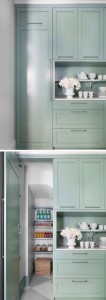 kitchen pantry under the stairs