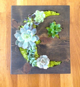 moon and star vertical succulent garden
