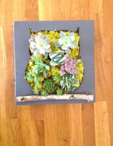 owl vertical succulent garden
