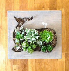 whale - vertical succulent garden