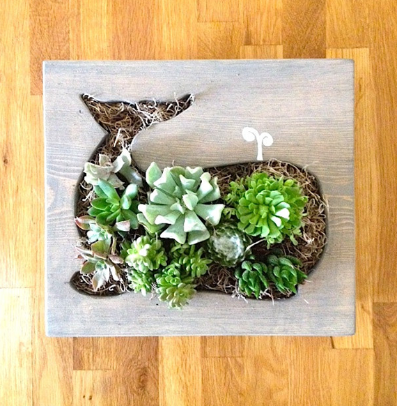 whale - vertical succulent garden