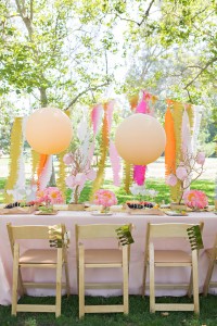 pink peony picnic birthday party
