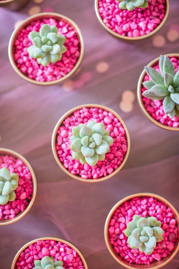 potted succulents with pink rocks // Valentine's Day gift idea