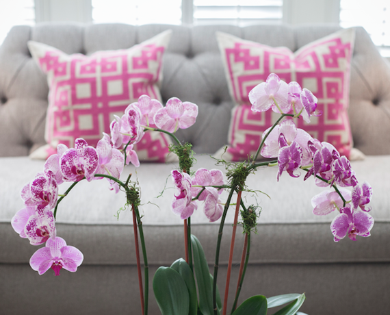 pink orchids // living room