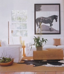 modern southwest style // kelly klein