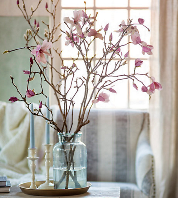 tulip magnolia branches // spring blossoms