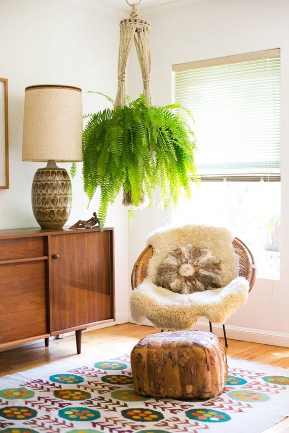 indoor fern plants #interiorplants