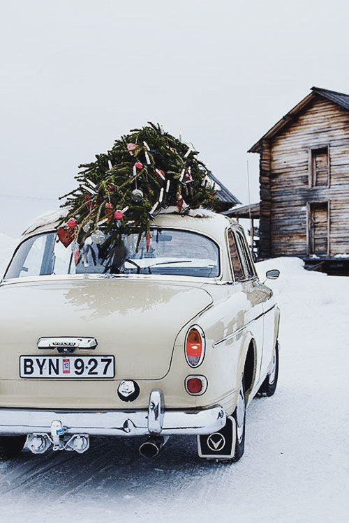 vintage car // christmas tree